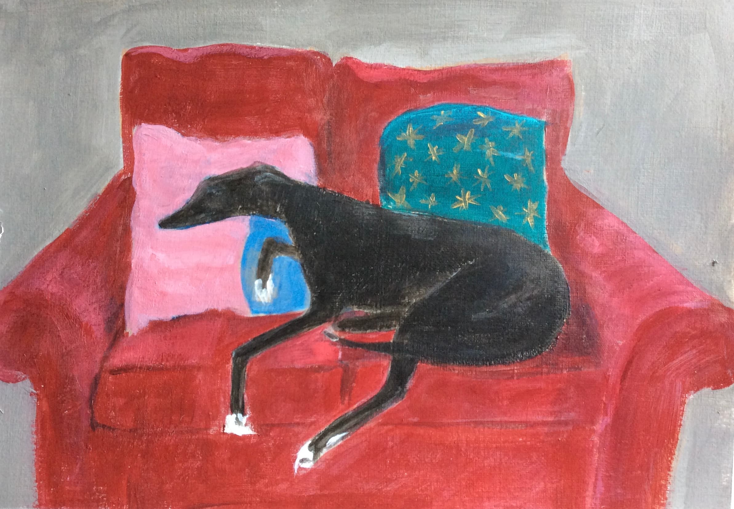 Dog on sofa